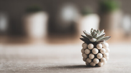 Miniature succulent plant ceramic pot modern decor neutral color close up soft focus indoor minimalist style natural light calming atmosphere