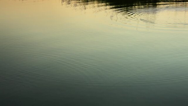 Abstract gentle water ripples texture background with soft light
