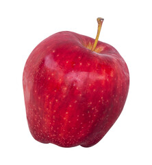 single fresh red apple on white background isolated