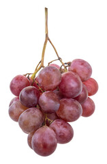 bunch of red grapes