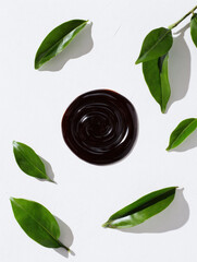 Organic compost tea liquid surrounded by green leaves flat lay conceptual nature gardening eco friendly sustainable overhead fresh healthy natural clean white background