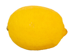 single fresh lemon isolated on white background