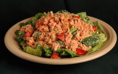 Flaked Hot-Smoked Salmon Salad From Norway Served on Fresh Green Lettuce With Diced Tomatoes
