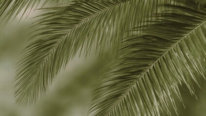 Obraz premium Close-up of palm fronds, soft focus, sepia tone, creating natural textures and shadows