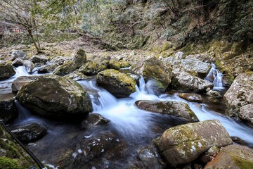 The Eternal Flow of the Mossy Stream, Akameshijuhatsu Falls, Japan