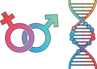 Gender Symbols and DNA Helix Illustrations for Medical and Educational Use