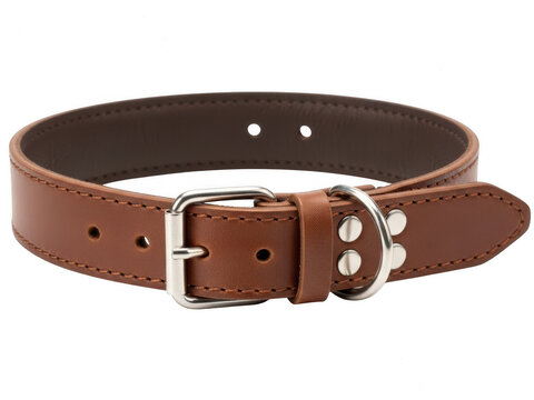 Brown leather dog collar with buckle and d-ring, isolated on transparent background