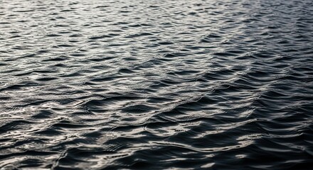Obraz premium Ripples on Dark Water Surface
