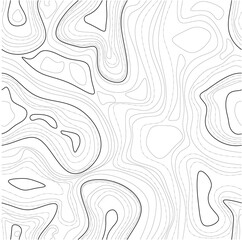 Seamless Abstract Topographic Map Contour Line Pattern in Black and White for Minimal Background, Wallpaper, Textile and Surface Design