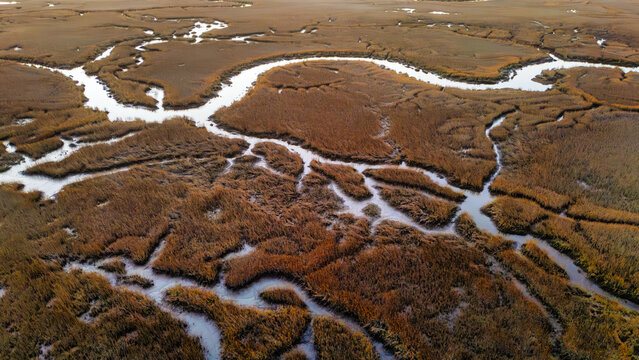 Views of marshland with winding waterways and grasslands during daylight hours in a natural area