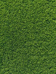Obraz premium Lush Green Turf Texture Background for Sports Field Branding and Garden Landscaping Advertisements, Natural Short Grass Meadow Pattern in Even Daylight