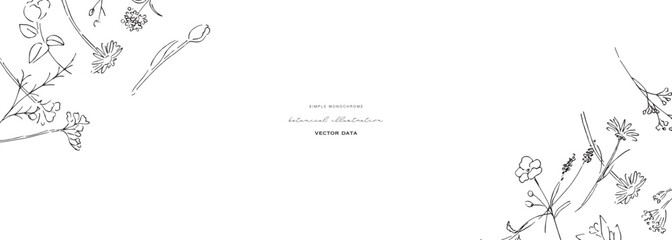 植物の線画イラスト。植物のベクターイラスト背景。葉っぱと花の背景フレーム。
Botanical line art illustration. Botanical vector illustration background. Leaves and flowers background frame.