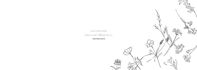 Fototapeta premium 植物の線画イラスト。植物のベクターイラスト背景。葉っぱと花の背景フレーム。 Botanical line art illustration. Botanical vector illustration background. Leaves and flowers background frame.