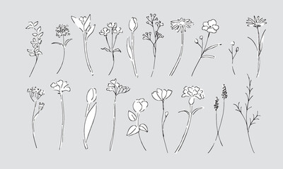 植物の線画イラスト。植物のベクターイラスト背景。葉っぱと花の背景フレーム。
Botanical line art illustration. Botanical vector illustration background. Leaves and flowers background frame.