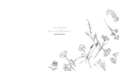 植物の線画イラスト。植物のベクターイラスト背景。葉っぱと花の背景フレーム。
Botanical line art illustration. Botanical vector illustration background. Leaves and flowers background frame.