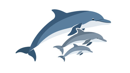 Obraz premium Three blue and white dolphins varying sizes swim on a white background