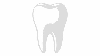 Obraz premium Tooth Dental Anatomy Illustration.