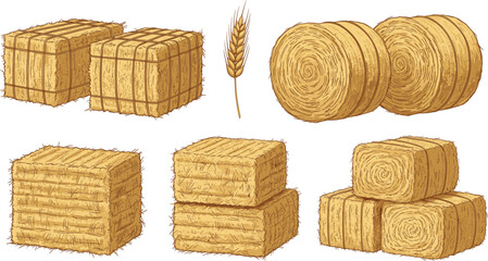 Rustic agriculture vector set featuring various hay bales straw stacks and wheat stalk illustrations for farm branding autumn harvest and rural decoration. © MdEmdadul