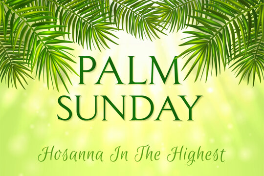 Palm sunday greeting banner template for christian holiday