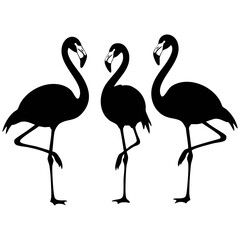 Obraz premium Majestic Flamingo Silhouette Vector Set - Tropical Wading Bird Icons