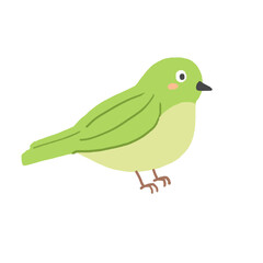 Cute Green Bird Cartoon Vector Illustration
