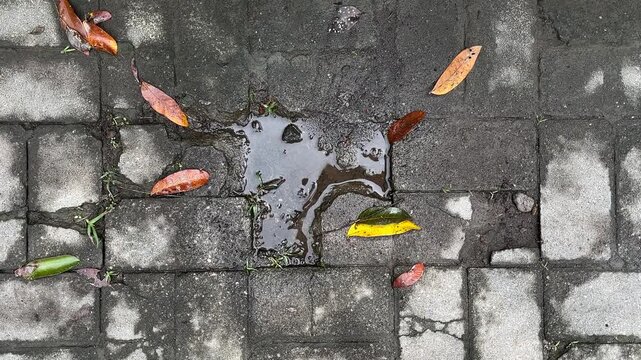 Top view of grey or gray paving stones with leaves and hole. surface blocks. Background. leaves, leaf. backgrounds. copy space, empty, free, negative, text, design. brick. outdoor.