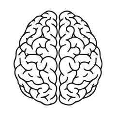 Human Brain Icon Vector &ndash; Mind, Intelligence & Thinking Symbol