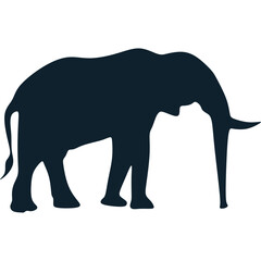 Obraz premium Wildlife Animal Silhouette