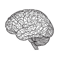 Human Brain Line Art Illustration &ndash; Anatomy Mind Vector Icon