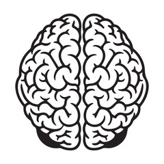 Human Brain Line Art Illustration &ndash; Anatomy Mind Vector Icon
