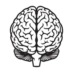 Human Brain Line Art Illustration &ndash; Anatomy Mind Vector Icon