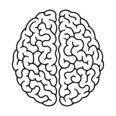 Human Brain Line Art Illustration &ndash; Anatomy Mind Vector Icon
