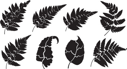 Fototapeta premium Collection of black fern and leaf silhouettes on white
