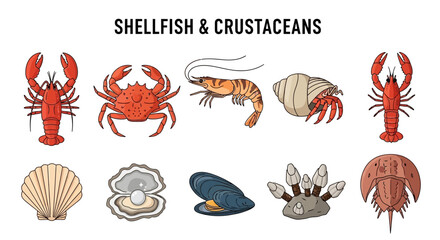 Illustrations of shellfish and crustaceans titled SHELLFISH  CRUSTACEANS © Kenywanch