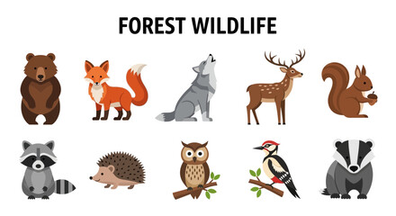 Ten cartoon forest wildlife animals illustrated in two rows against a white background © Kenywanch