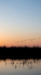 Flock of Birds Flying at Sunset Over Calm Water.