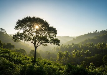 Sunrise over lush tropical forest with a solitary tree and sunbeams