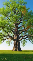 A massive, ancient oak tree stands proudly in a peaceful clearing, its sprawling branches reaching toward the clear blue sky, wood, outdoor, ancient