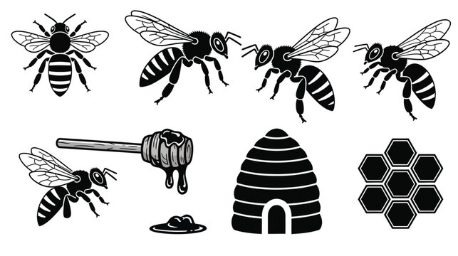 Collection of black and white bee icons featuring stylized flying insects, a traditional skep hive, honey dipper, and honeycomb cells for vector illustration projects.