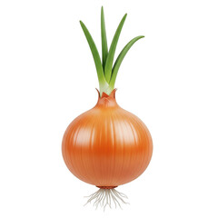 Fresh onion with green shoots and roots, isolated on transparent background