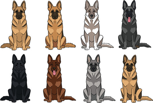 German shepherd dog sitting pose vector set showing different coat colors and breeds isolated flat illustration collection