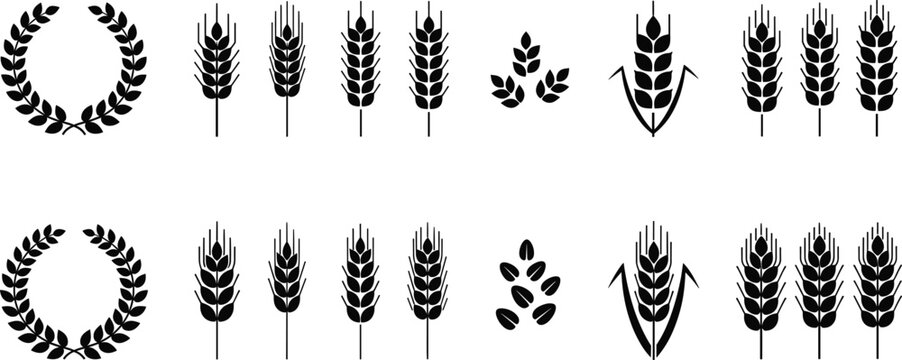 Wheat grain and barley icon set with laurel wreaths cereal crops and agriculture symbols isolated black vector illustration