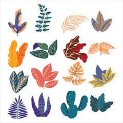 Colorful Tropical Leaves Illustration Set in Flat Design Style