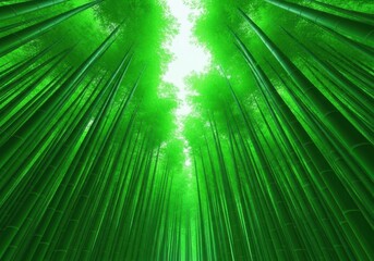 Obraz premium Dense, vibrant green bamboo stalks soaring skyward in a peaceful forest setting during the fresh growth of springtime, day, abstract, wild