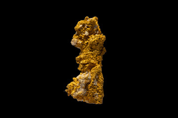 Fototapeta premium Native Gold Ore Close-up, Natural Gold Mineral in Raw State, Precious Metal Mineral