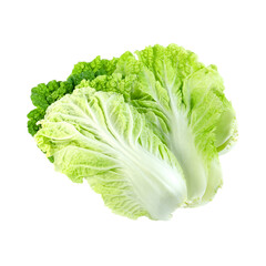 cabbage isolated on white background
