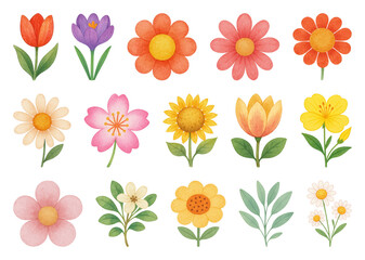 Obraz premium PNG Colorful watercolor floral illustrations on transparent background