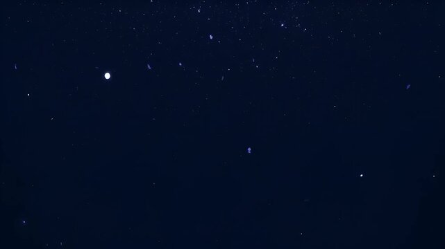 Paper dust and lint overlay with slow downward drift and gentle fade