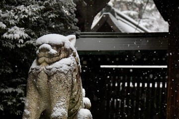 雪の冷たさに耐える神社の狛犬　埼玉県川口神社
