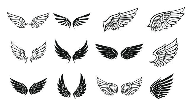 Collection of Diverse Wing Illustrations in Black and White